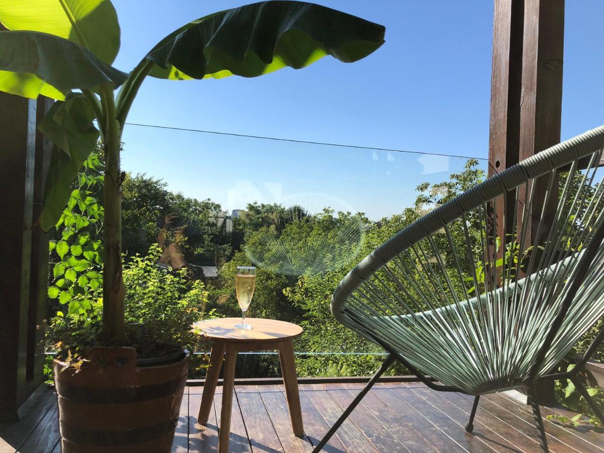 Apartament Pergola House In A Green Oasis With Fantastic View Petrovaradin Zewnętrze zdjęcie