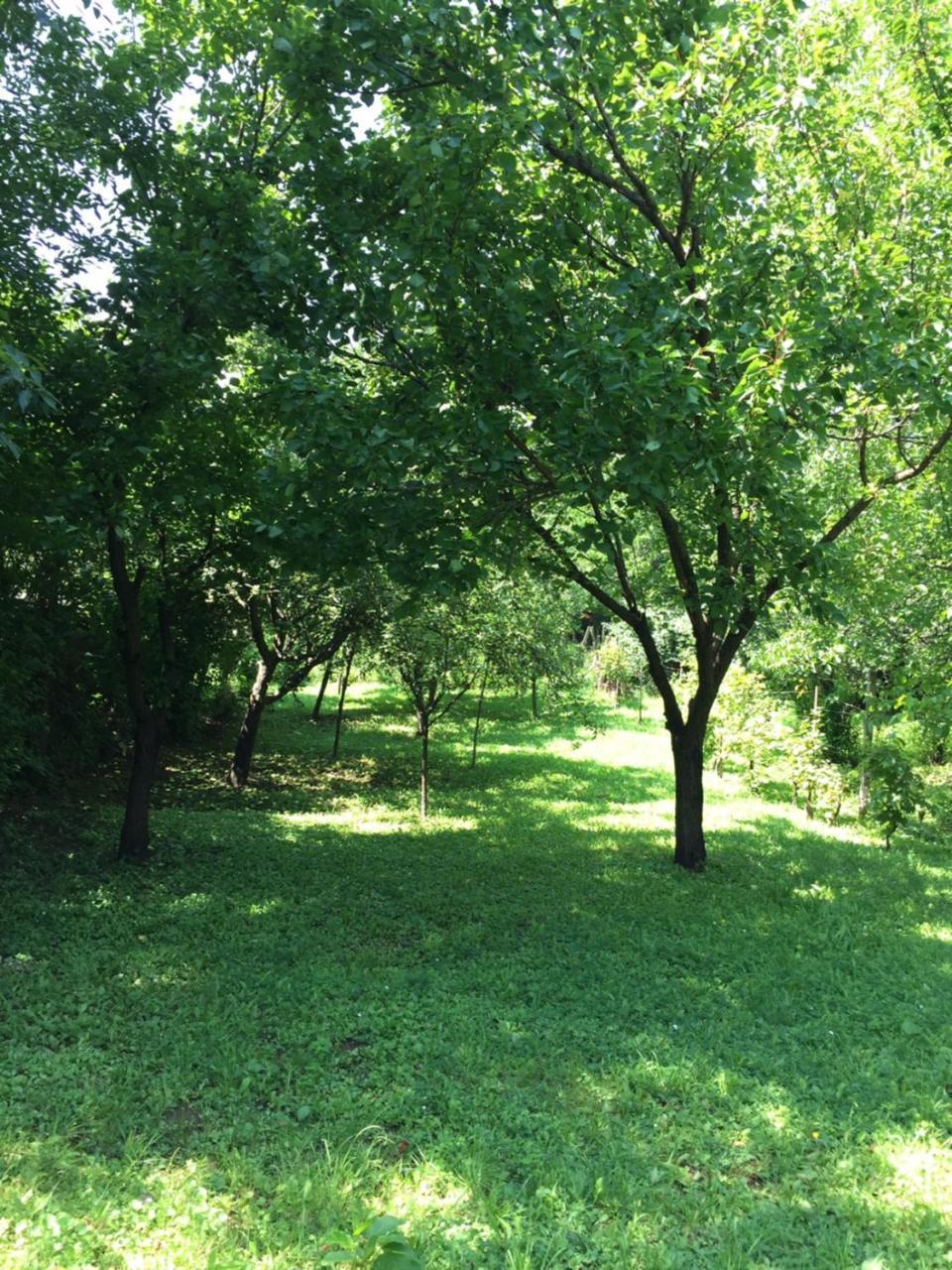 Apartament Pergola House In A Green Oasis With Fantastic View Petrovaradin Zewnętrze zdjęcie