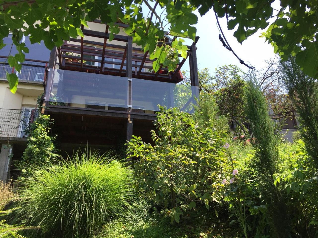 Apartament Pergola House In A Green Oasis With Fantastic View Petrovaradin Zewnętrze zdjęcie